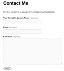contact-form-jetpack Post image