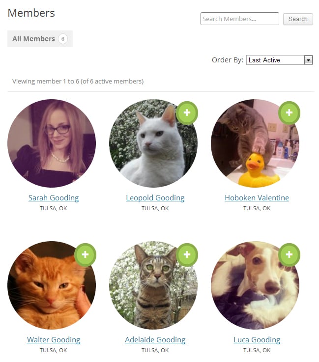 member-directory Post image