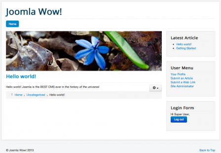 Joomla default template