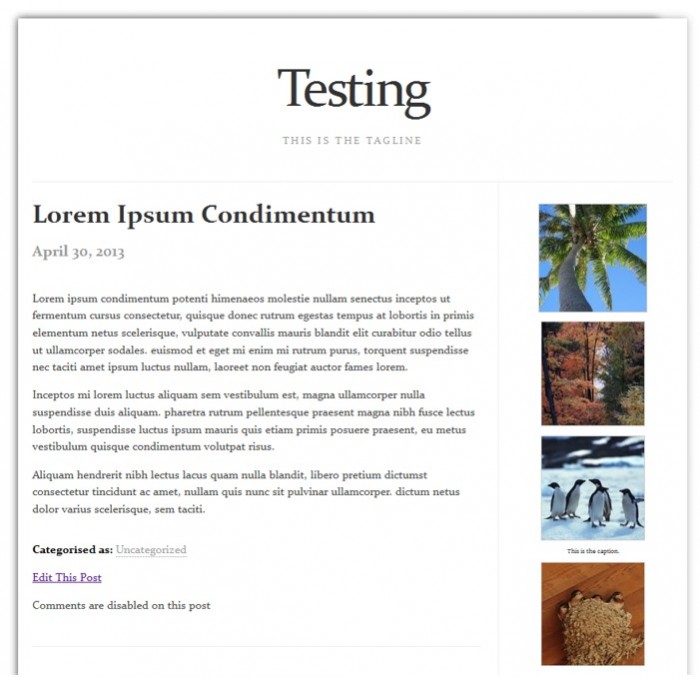 sidebar-1-column Post image