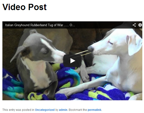 video-frontend Post image