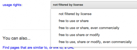 google-image-search Google Image Advanced Search