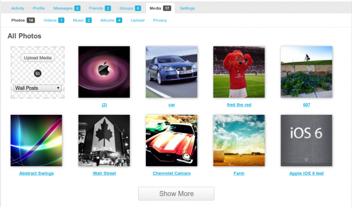 rtMedia Gallery can be placed anywhere, even outside of BuddyPress