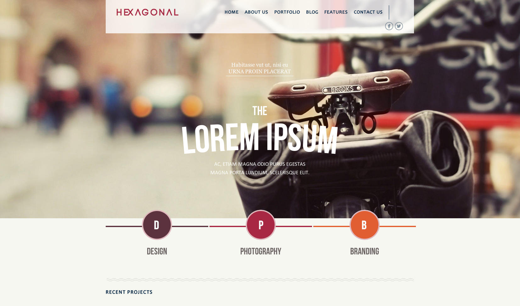 Hexagonal flat WordPress themes