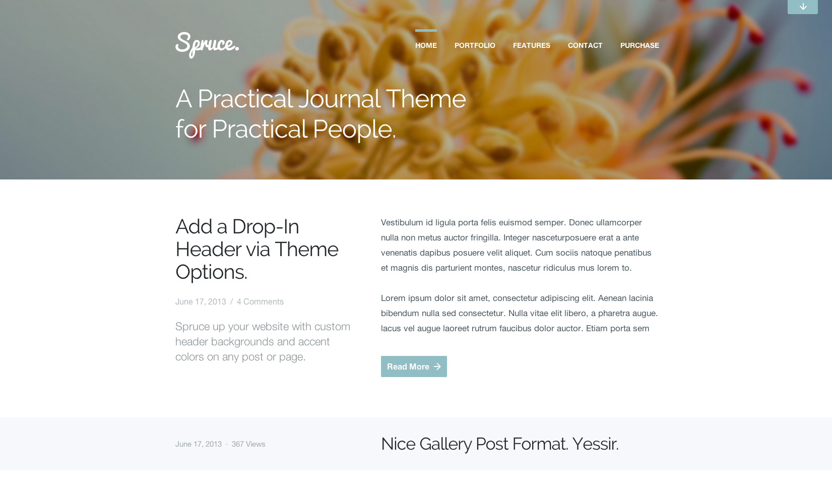 Spruce flat WordPress theme