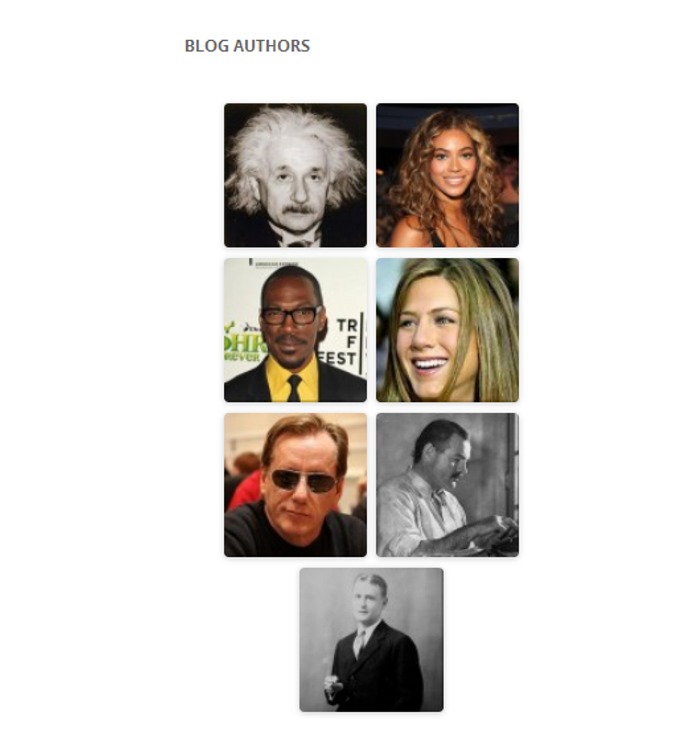 authors-avatars-list-widget2