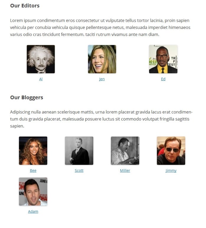 authors-page-user-roles2