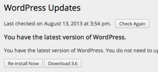 WordPress auto-updates