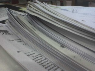WordPress documentation