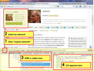 Firebug for Firefox