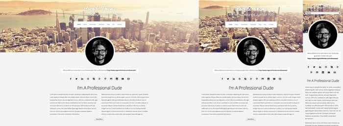 Organic Themes Portfolio responsive