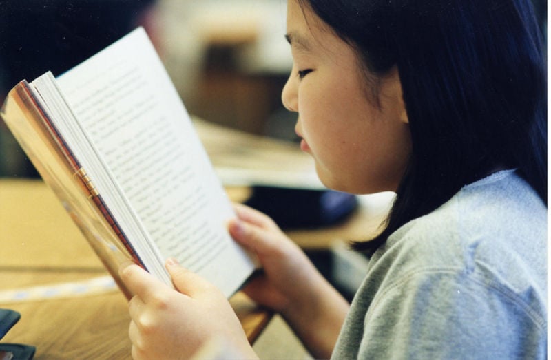 Young girl reading a book