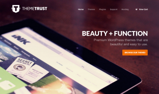 Theme Trust homepage