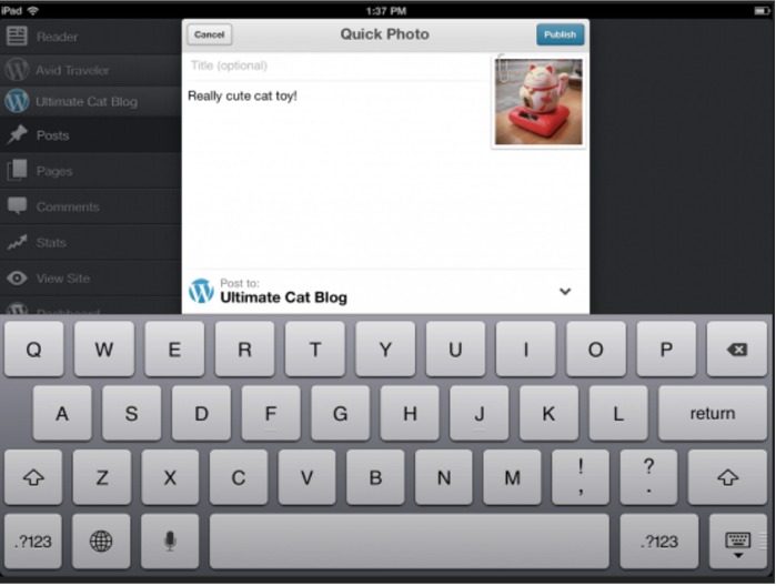 wordpress-ois-version-3.1-user-interface-2 Post image