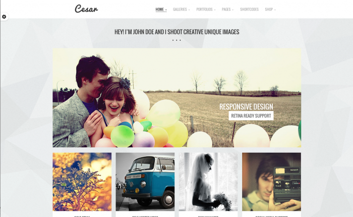 Cesar WordPress theme