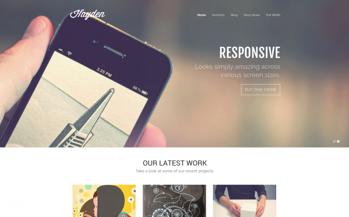 Hayden WordPress theme