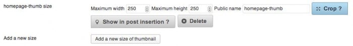 Screen grab of adding a new image size in the Simple Image Sizes settings page
