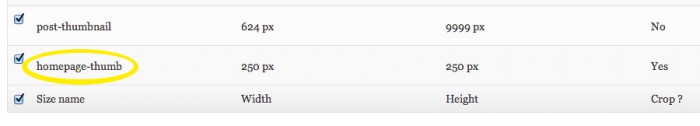 Screen grab showing the new size in the image size table on the settings screen of the Simple Image Sizes plugin