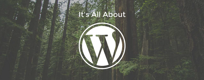 WordSesh feature image