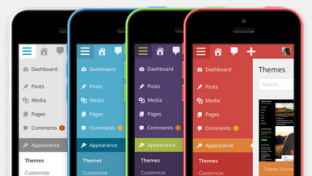 Admin color schemes