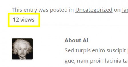Wherever you place the code in your template files is where the view count number will appear. If you’d like to make it display with parenthesis, for example, just place parenthesis around the code — e.g. (the code).