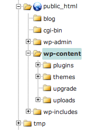 wp-content