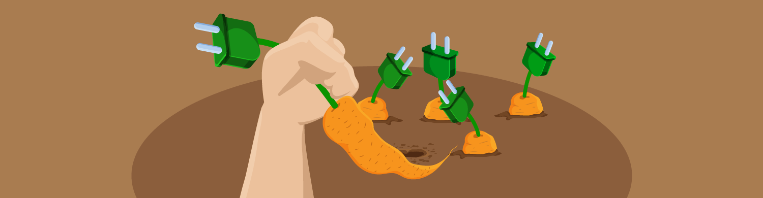 Multisite Plugins