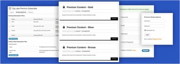 Premium Subscribers from DigLabs image