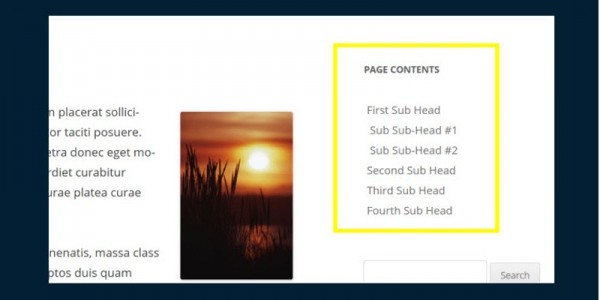 Search & Index Page Content