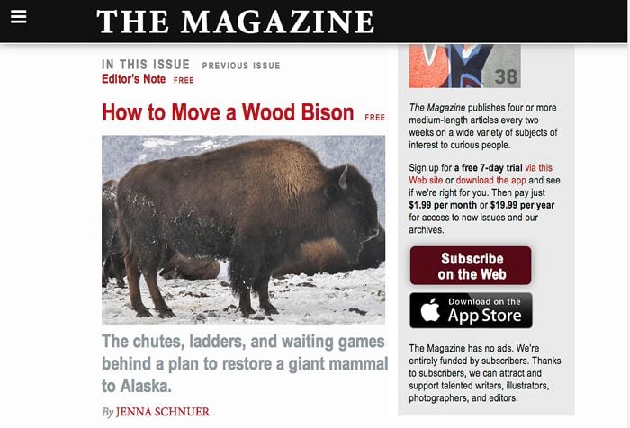 Screenshot of The Magazine's home page.