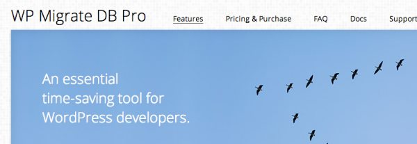 WP Migrate DB Pro image