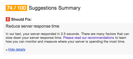 Pagespeed Insights slow server