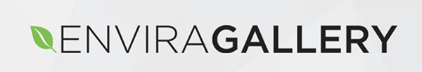 Envira Gallery header.