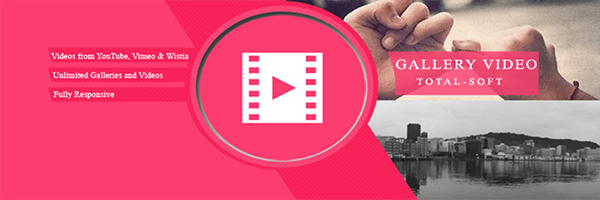 Video gallery header.