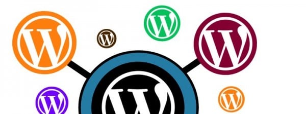 WordPress Multisite Guide for Beginners: Unlock the Power of Networks - WPMU DEV image