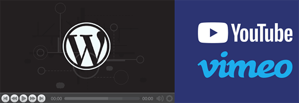 wp video lightbox header