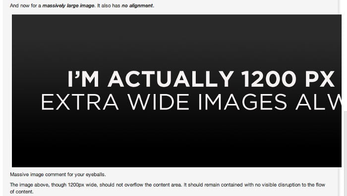Screengrab highlighting an issue with an image which is too wide