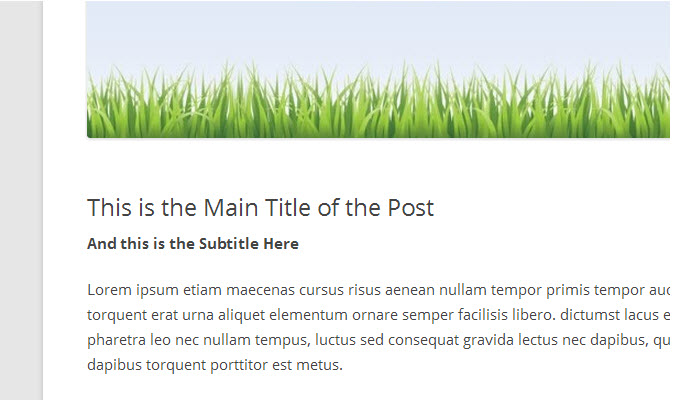 subtitle-on-post