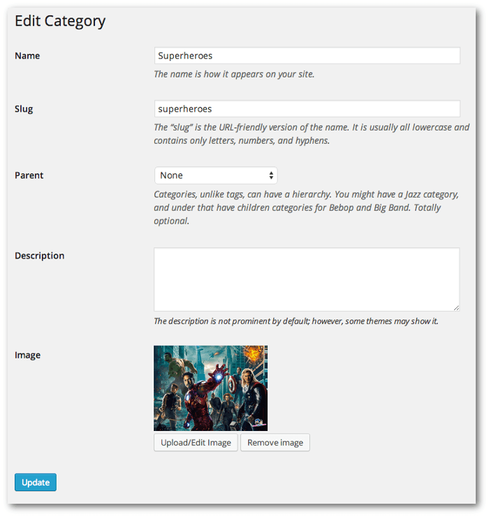 Screengrab of the category edit screen showing an uploaded image