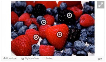 Screengrab of the H5P berry image hotspot example