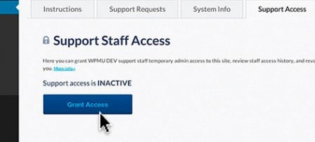 With one click you can grant access to your WP site