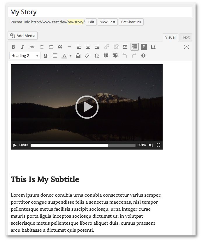 Screenshot of the post editor screen showing the video and subtitle which will form the cover page