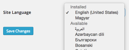 Languages In WP 4.1