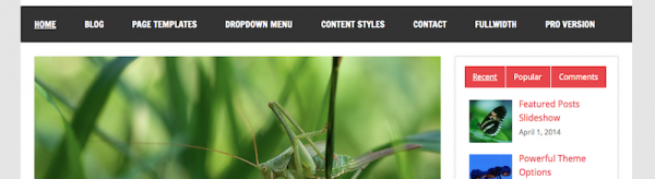 ThemeZee — Dynamic News image