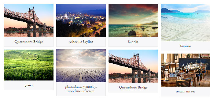 Envira Captioned Theme