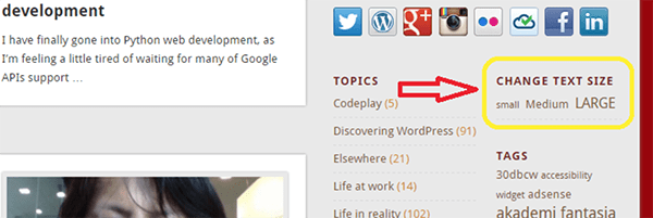 accessibility widget header