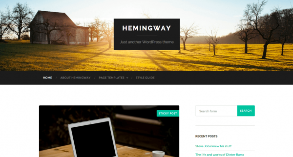 Hemingway image