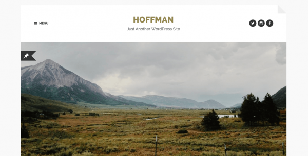 Hoffman image