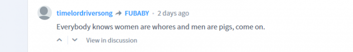 NSFW: An offensive comment using Disqus reading, "Everybody knows women are whores and men are pigs, come on."