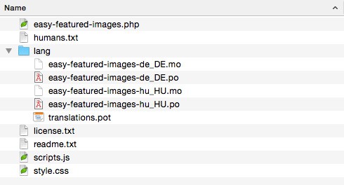 File Structure